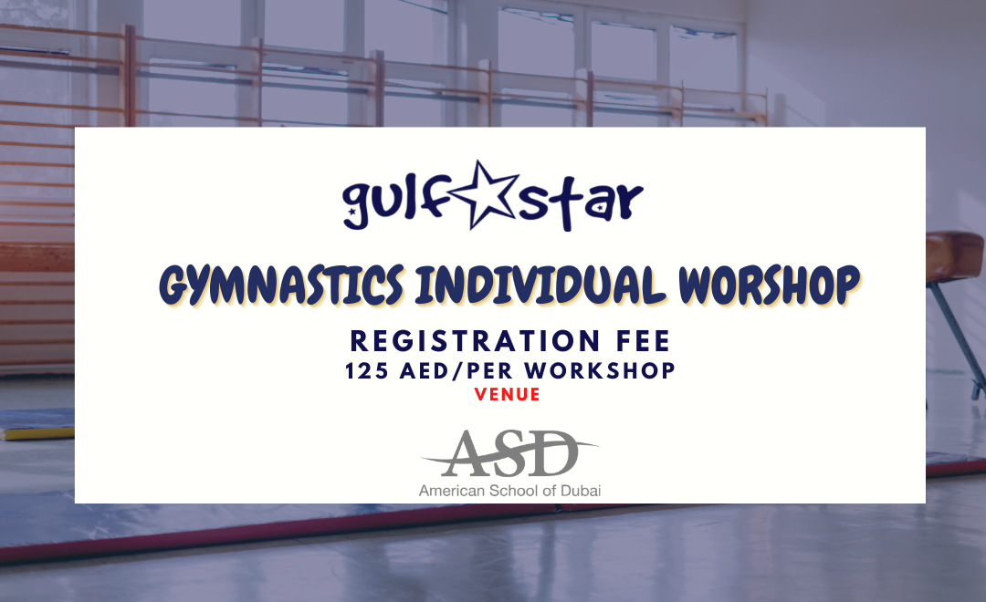 Gymnastics Individual Workshop